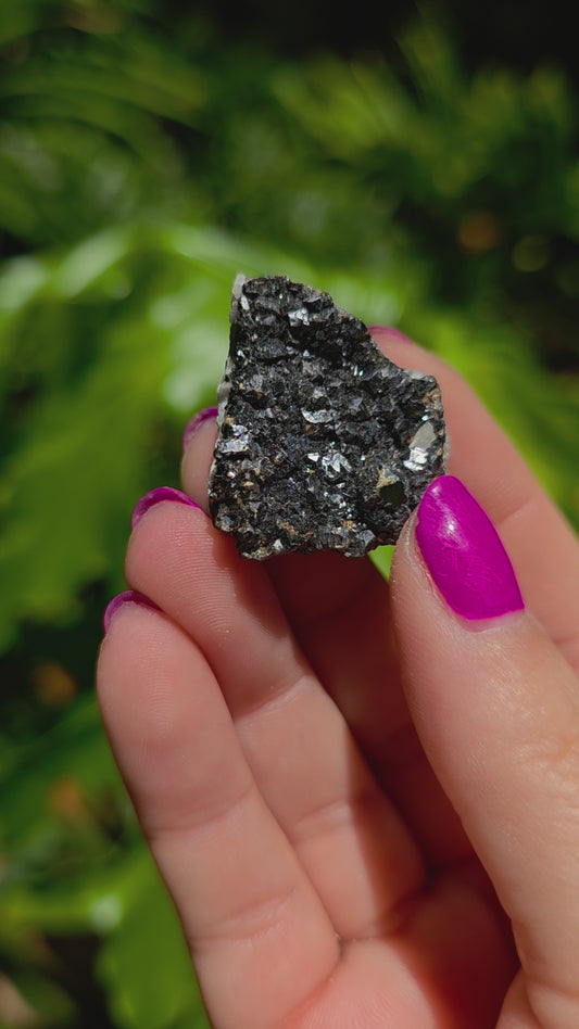 Galena & Marcasite Specimen • Option F