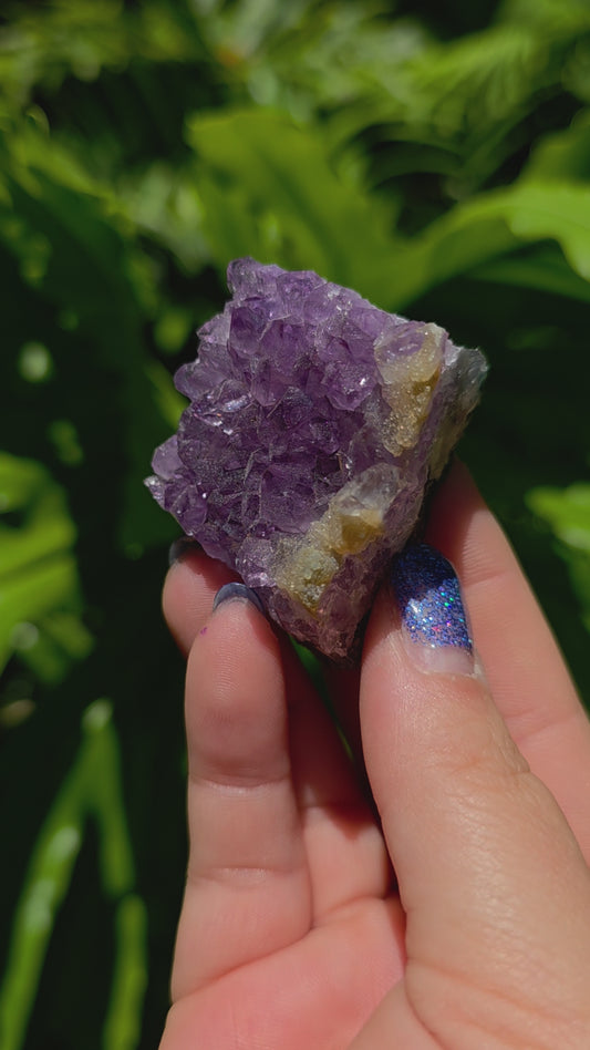 Amethyst Cluster • Option R • Brazil