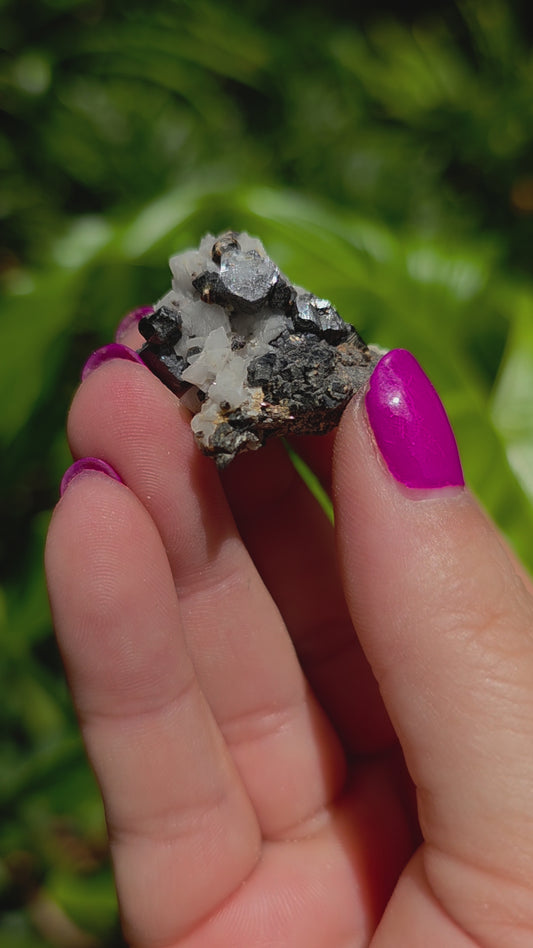 Galena & Marcasite Specimen • Option E